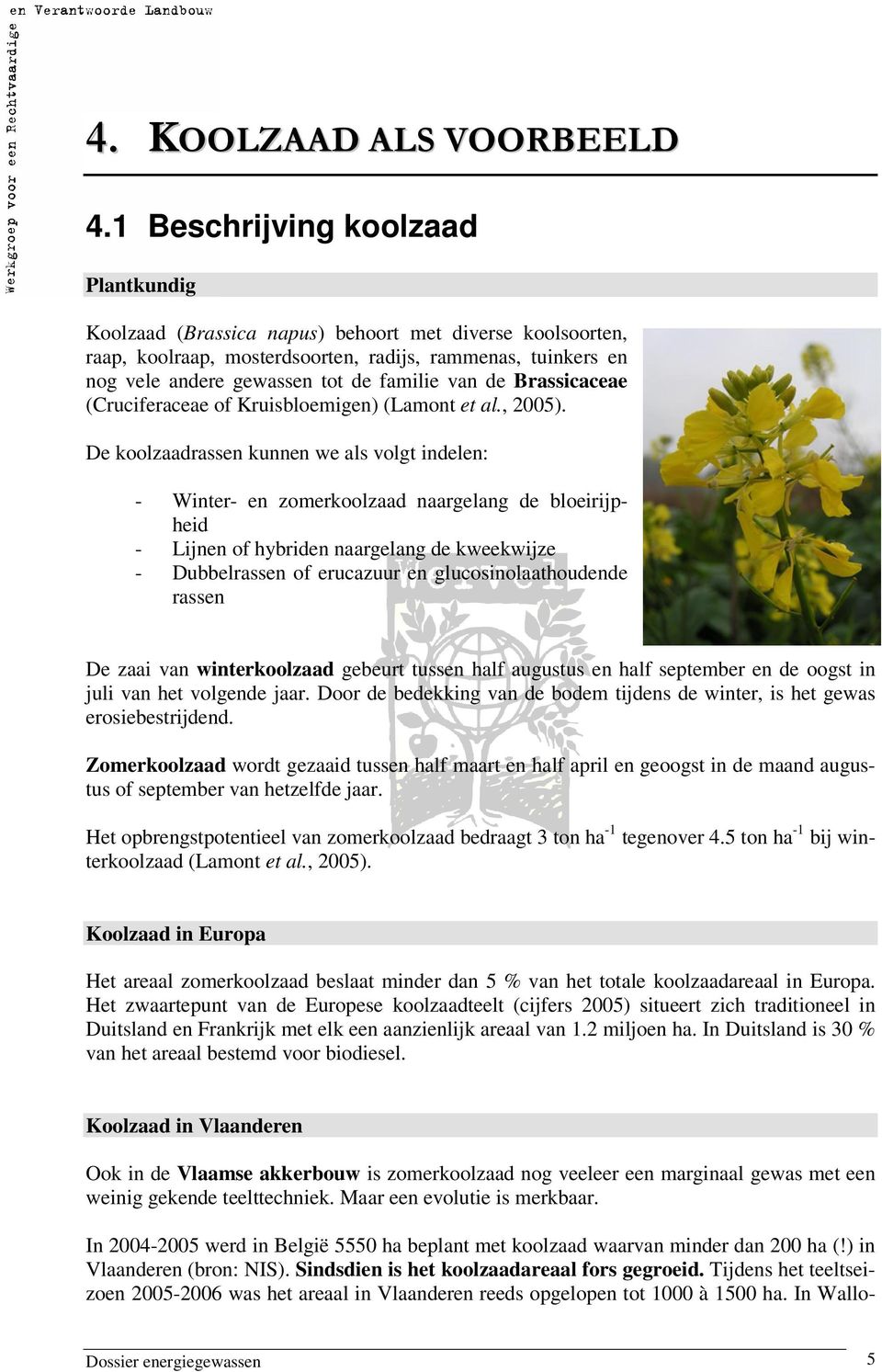 van de Brassicaceae (Cruciferaceae of Kruisbloemigen) (Lamont et al., 2005).