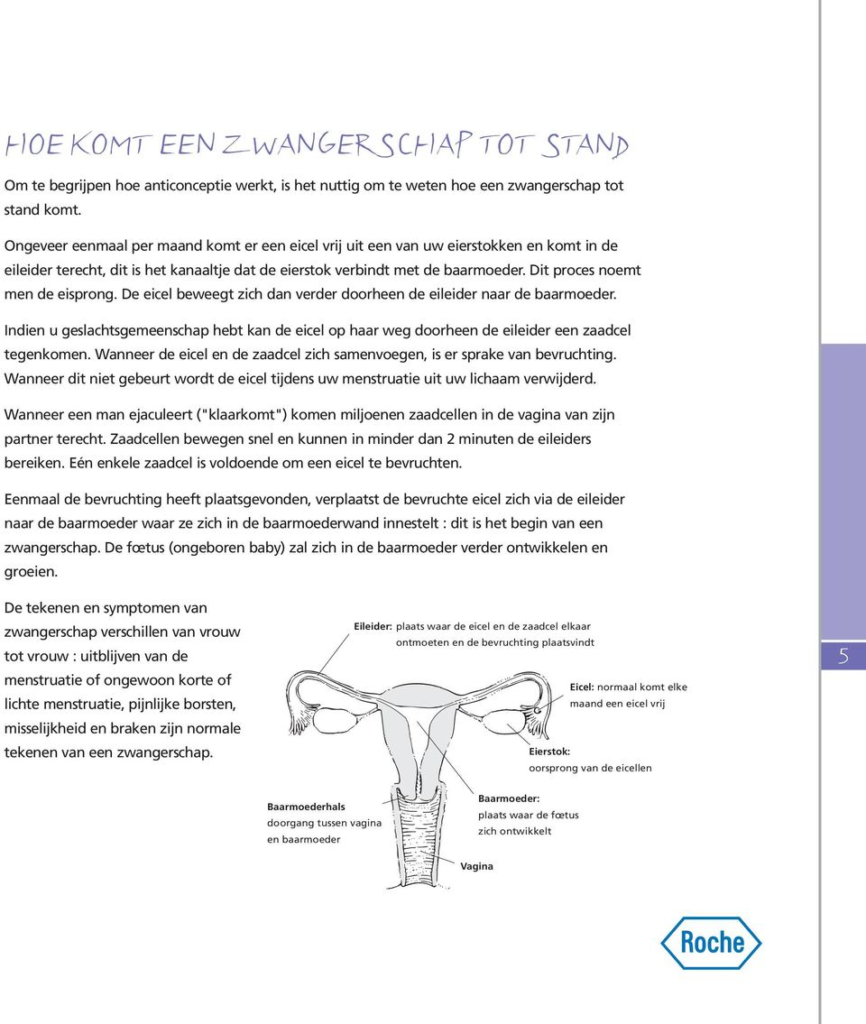 Dit proces noemt men de eisprong. De eicel beweegt zich dan verder doorheen de eileider naar de baarmoeder.