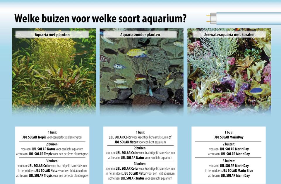 plantengroei voor krachtige lichaamskleuren voor een licht aquarium voor een perfecte plantengroei JBL SOLAR Color voor