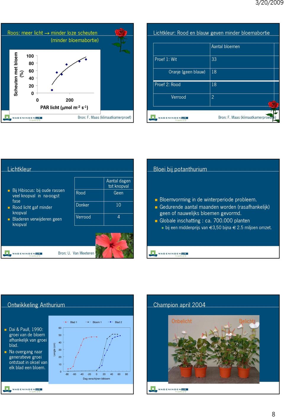 Maas (klimaatkamerproeven) Lichtkleur Bloei bij potanthurium Bij Hibiscus: bij oude rassen veel knopval in na oogst fase Rood licht gaf minder knopval Bladeren verwijderen geen knopval Rood Donker