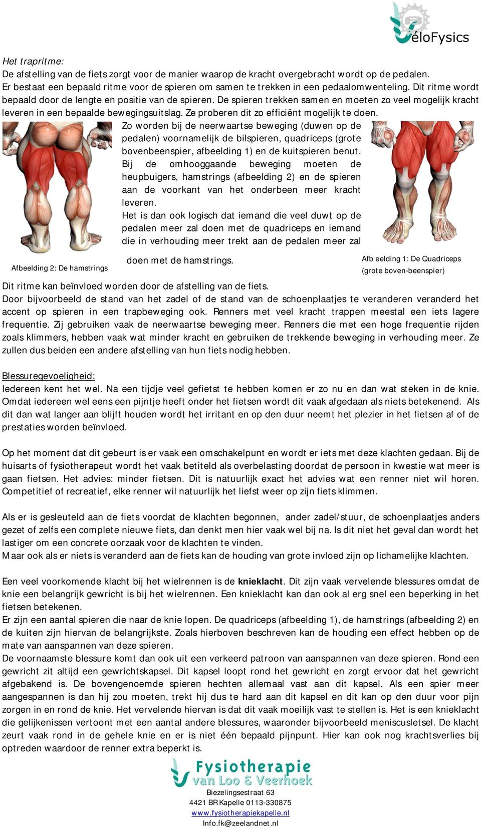 De spieren trekken samen en moeten zo veel mogelijk kracht leveren in een bepaalde bewegingsuitslag. Ze proberen dit zo efficiënt mogelijk te doen.