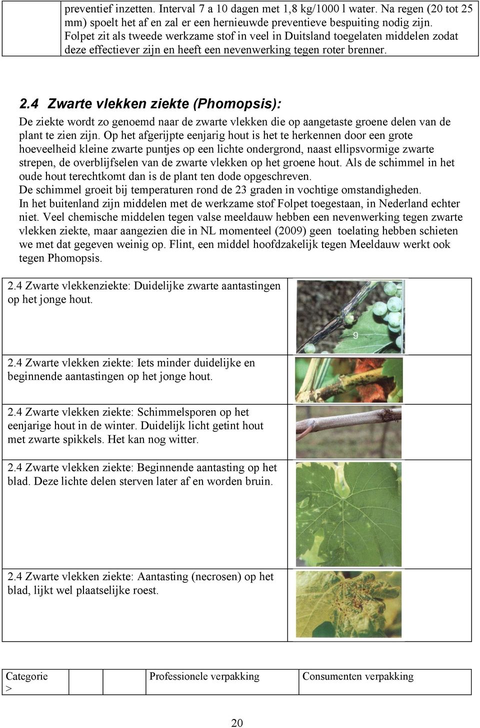 4 Zwarte vlekken ziekte (Phomopsis): De ziekte wordt zo genoemd naar de zwarte vlekken die op aangetaste groene delen van de plant te zien zijn.