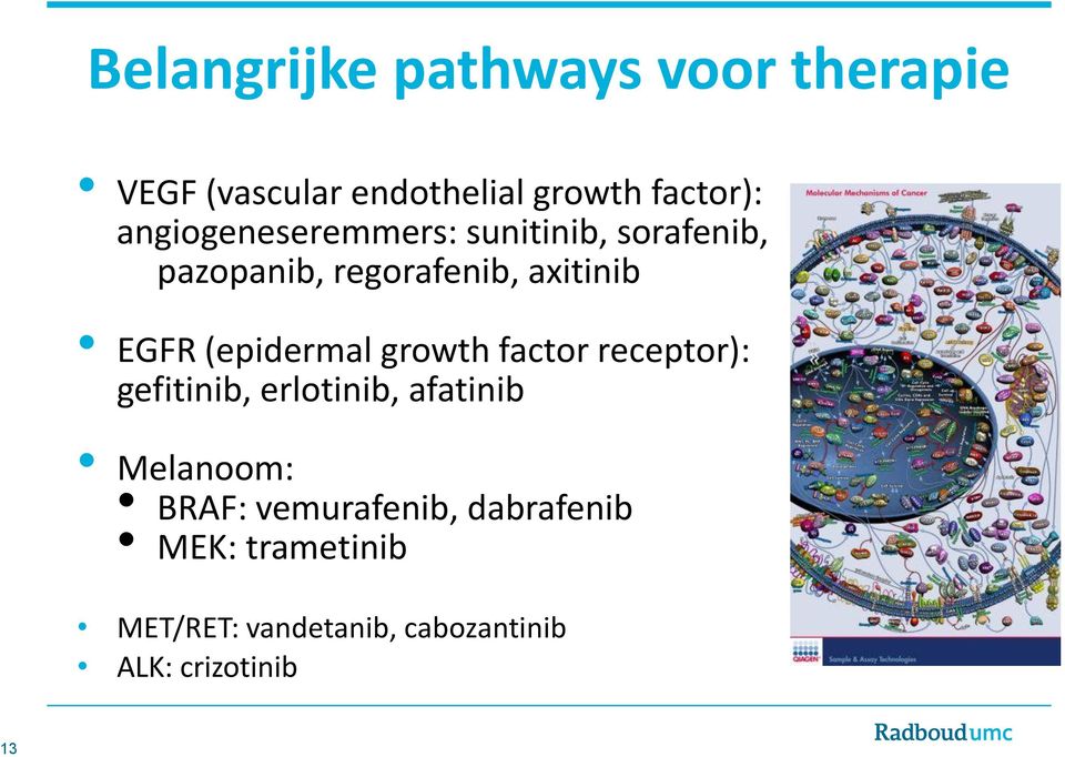 (epidermal growth factor receptor): gefitinib, erlotinib, afatinib Melanoom: BRAF: