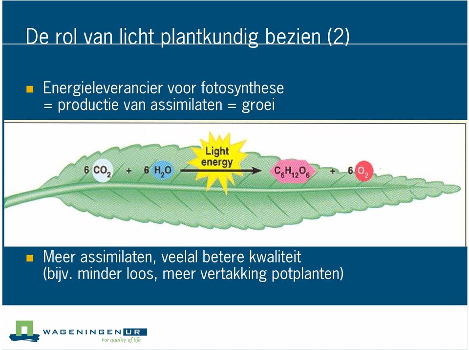 van assimilaten = groei Meer assimilaten, veelal