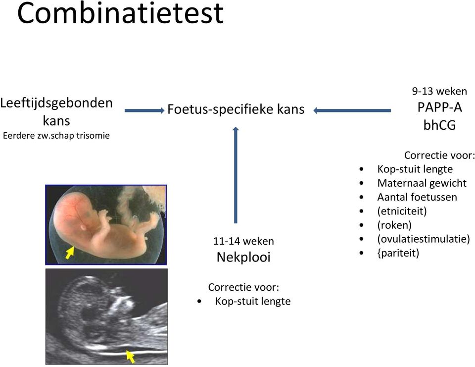 voor: Kop-stuit lengte 9-13 weken PAPP-A bhcg Correctie voor: