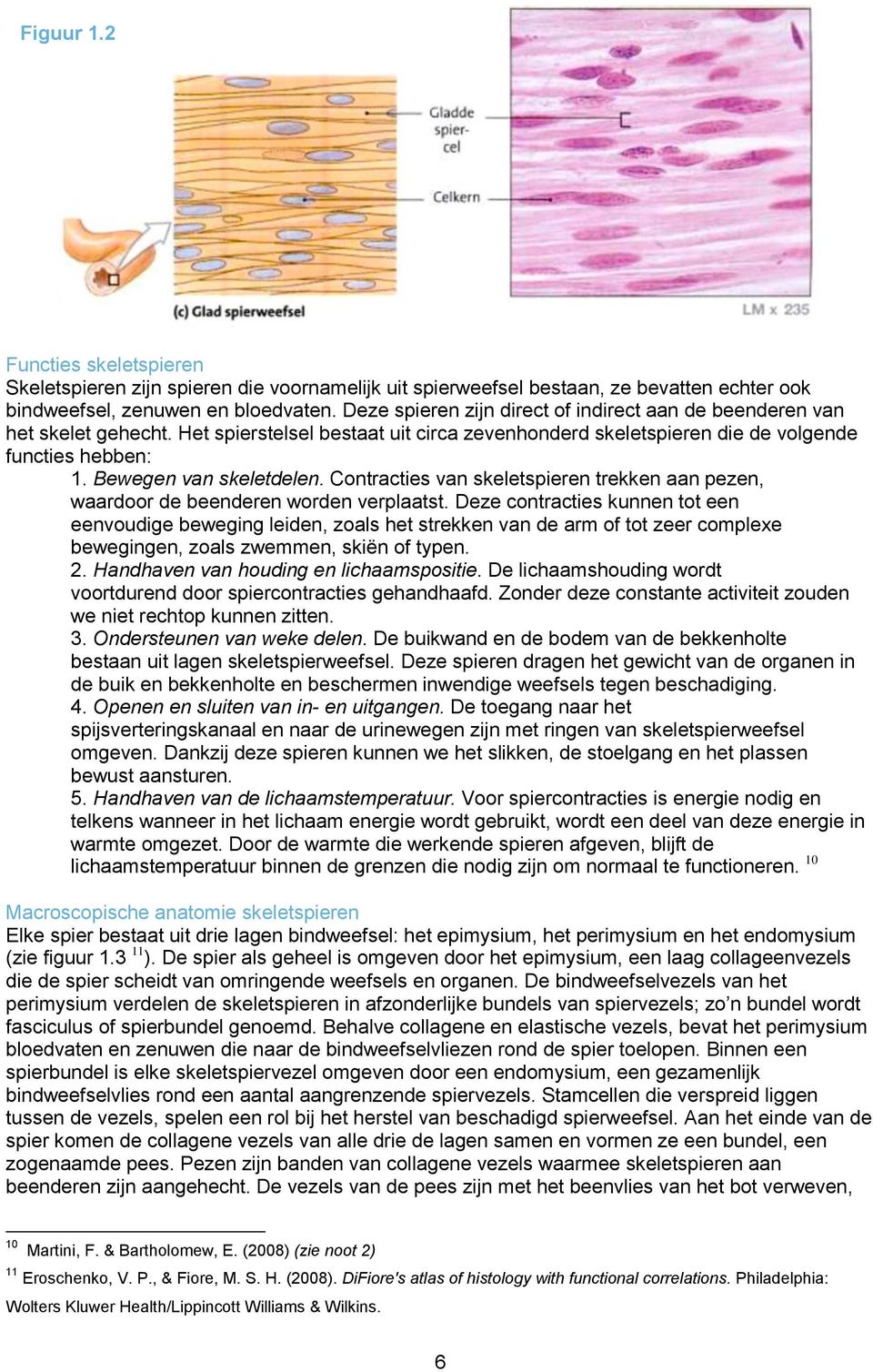 Contracties van skeletspieren trekken aan pezen, waardoor de beenderen worden verplaatst.