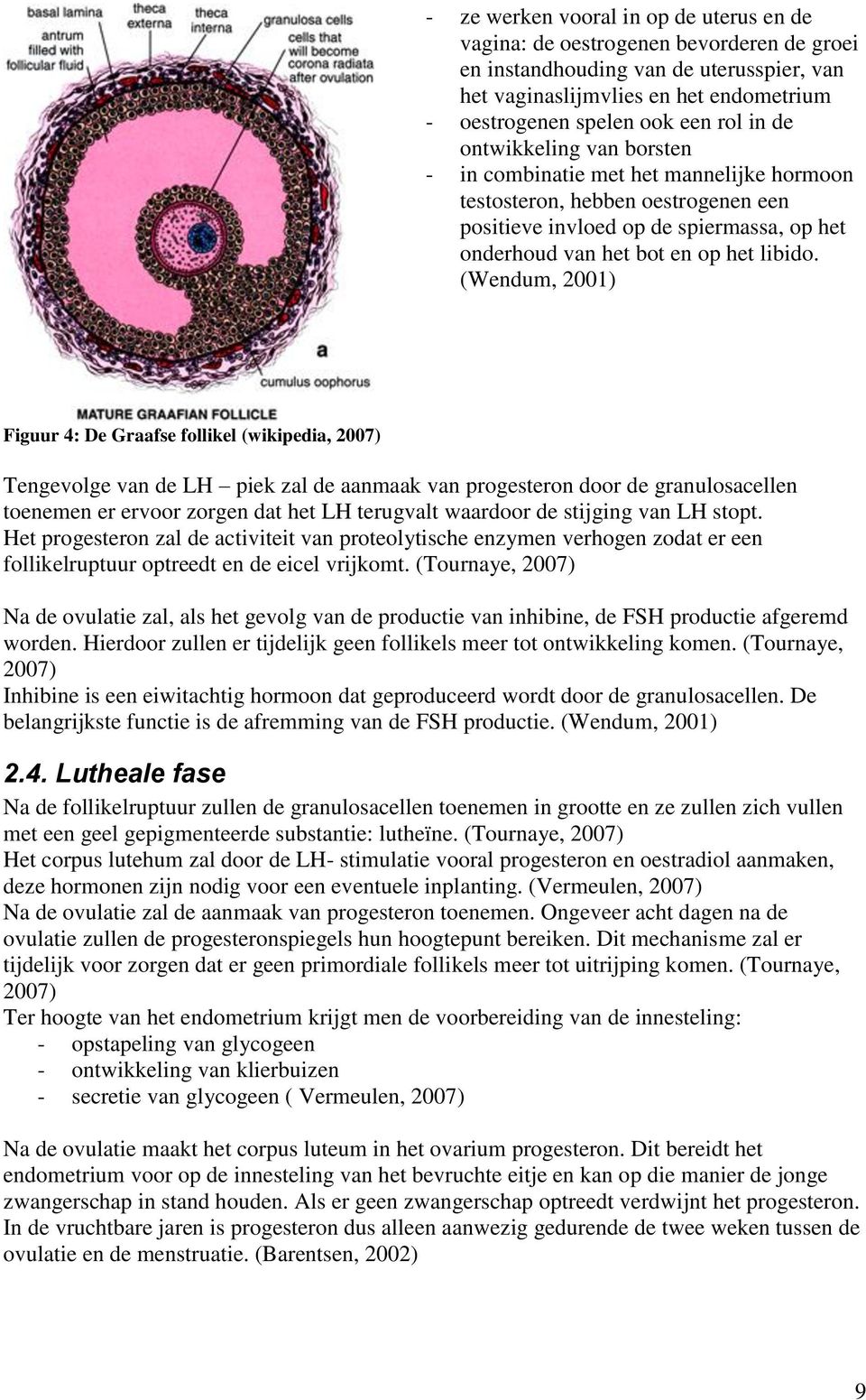 (Wendum, 2001) Figuur 4: De Graafse follikel (wikipedia, 2007) Tengevolge van de LH piek zal de aanmaak van progesteron door de granulosacellen toenemen er ervoor zorgen dat het LH terugvalt waardoor