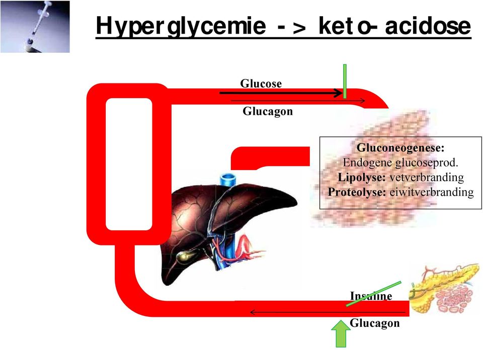 glucoseprod.