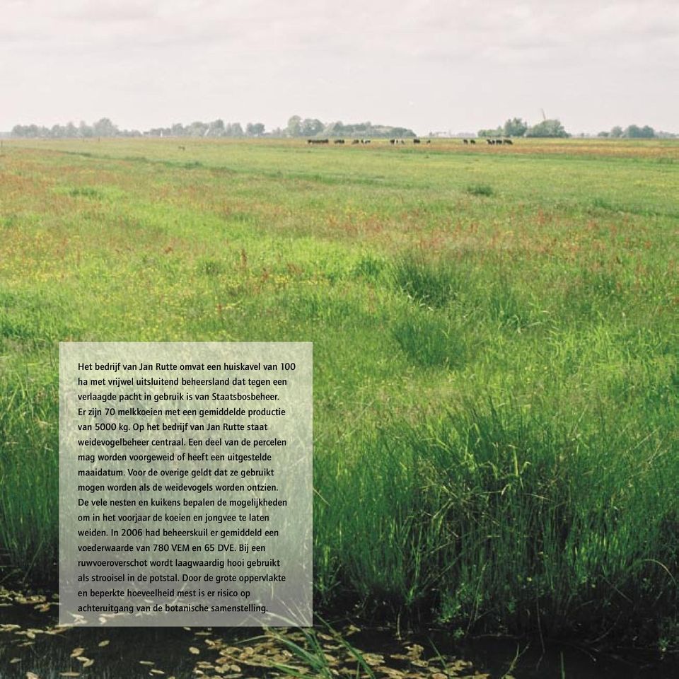 Een deel van de percelen mag worden voorgeweid of heeft een uitgestelde maaidatum. Voor de overige geldt dat ze gebruikt mogen worden als de weidevogels worden ontzien.