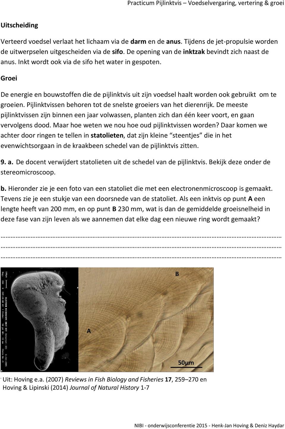 Groei De energie en bouwstoffen die de pijlinktvis uit zijn voedsel haalt worden ook gebruikt om te groeien. Pijlinktvissen behoren tot de snelste groeiers van het dierenrijk.