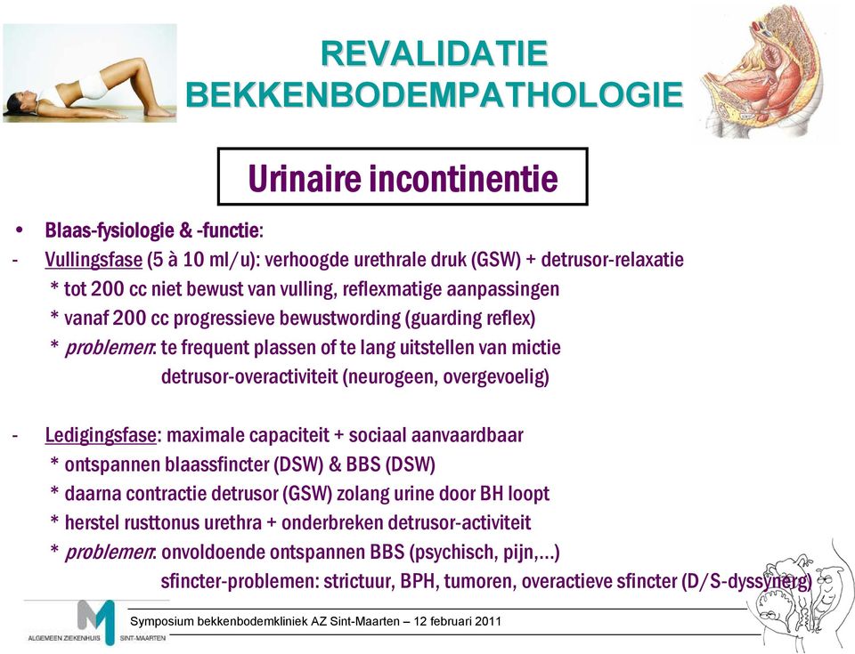 overgevoelig) - Ledigingsfase: maximale capaciteit + sociaal aanvaardbaar * ontspannen blaassfincter (DSW) & BBS (DSW) * daarna contractie detrusor (GSW) zolang urine door BH loopt *