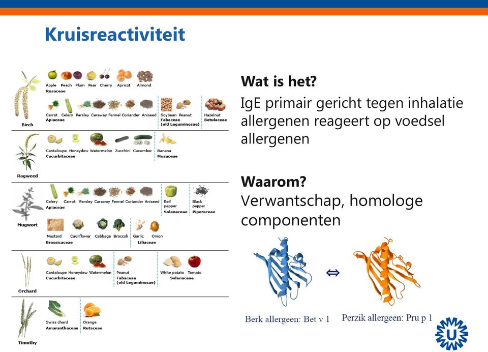 allergenen reageert op voedsel