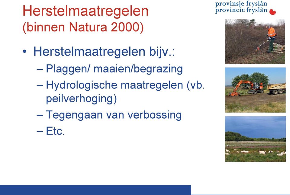 : Plaggen/ maaien/begrazing Hydrologische