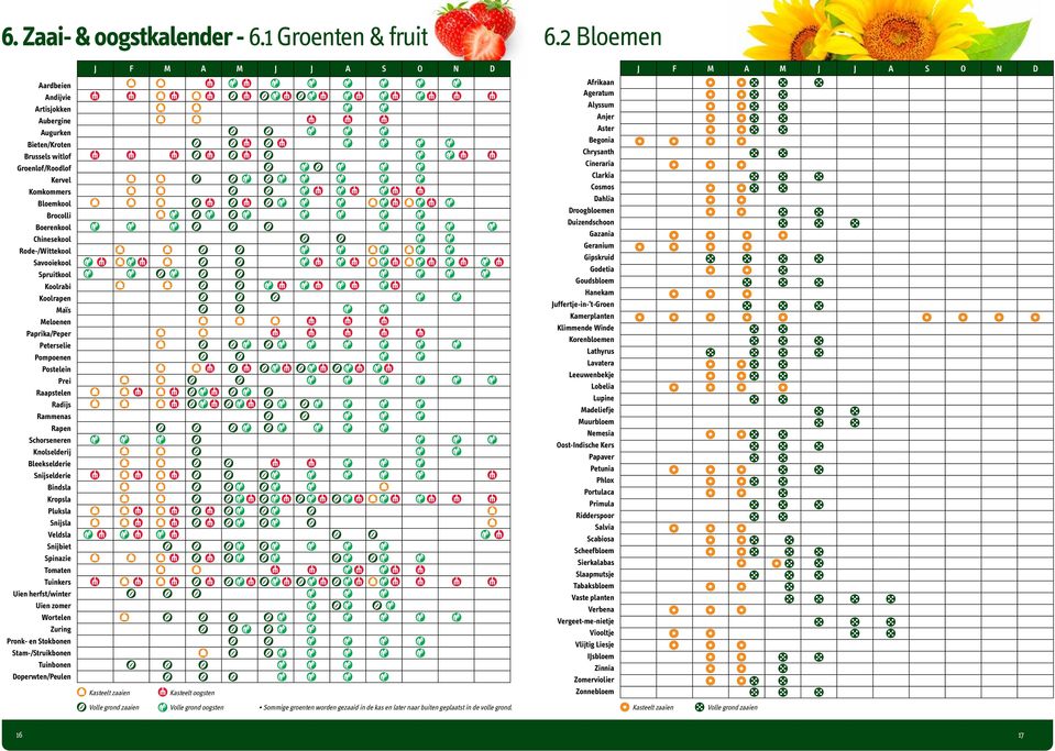 Spruitkool Koolrabi Koolrapen Maïs Meloenen Paprika/Peper Peterselie Pompoenen Postelein Prei Raapstelen Radijs Rammenas Rapen Schorseneren Knolselderij Bleekselderie Snijselderie Bindsla Kropsla