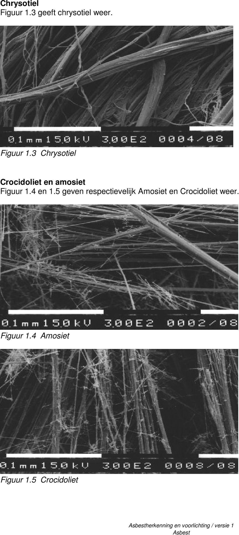 3 Chrysotiel Crocidoliet en amosiet 4 en 1.