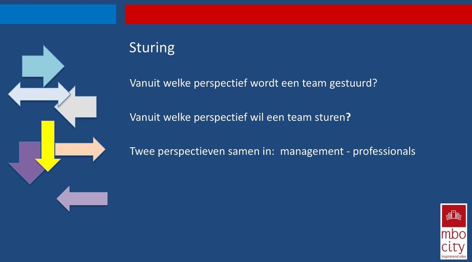 Vanuit welke perspectief wil een team