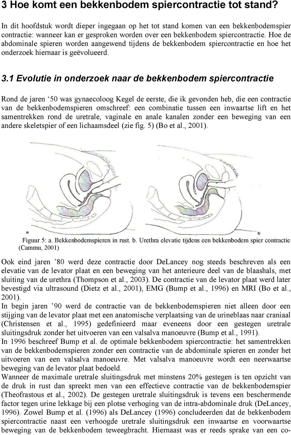 Hoe de abdominale spieren worden aangewend tijdens de bekkenbodem spiercontractie en hoe het onderzoek hiernaar is geëvolueerd. 3.