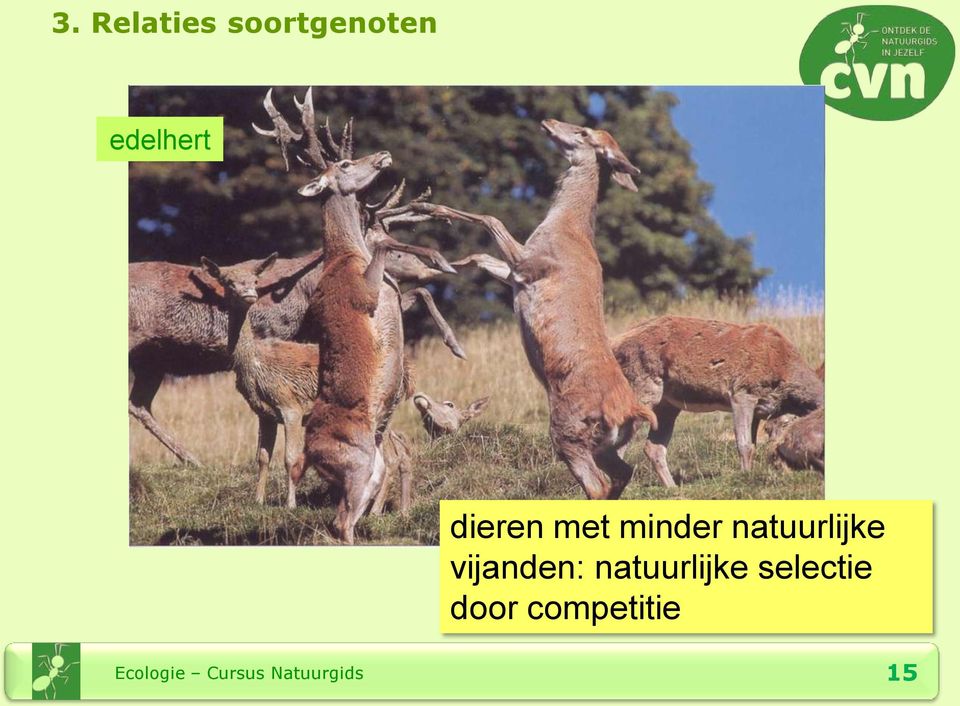 natuurlijke vijanden: