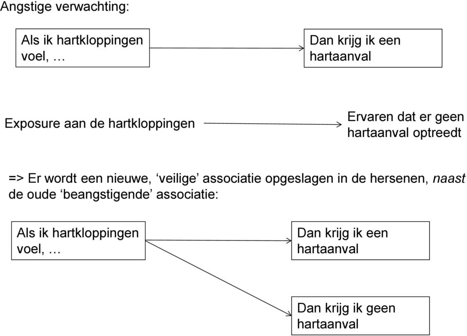 een nieuwe, veilige associatie opgeslagen in de hersenen, naast de oude beangstigende