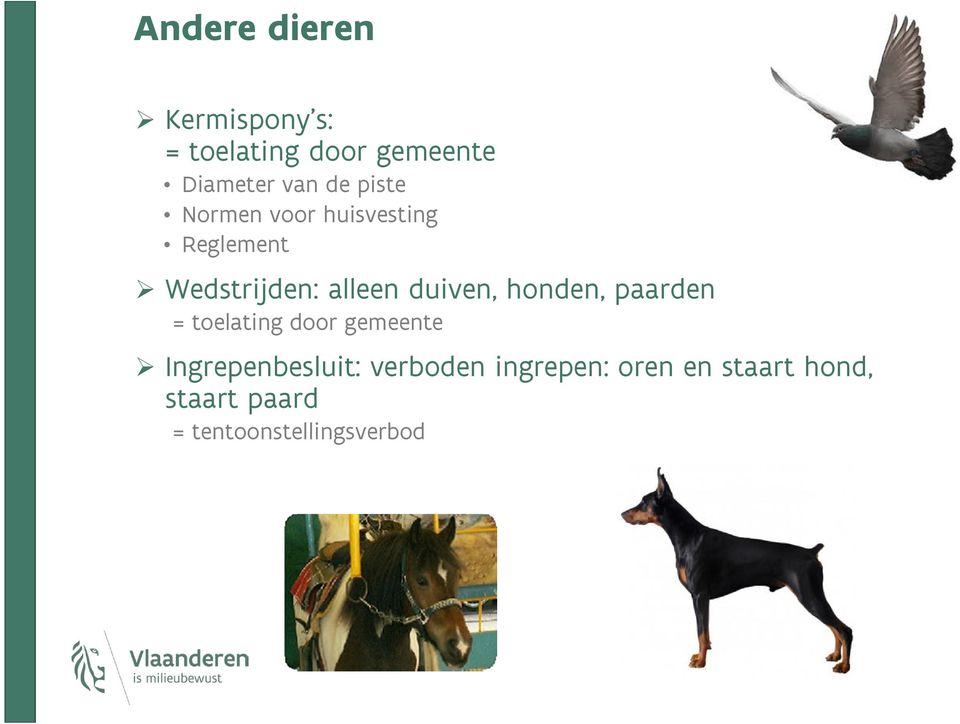 duiven, honden, paarden = toelating door gemeente Ingrepenbesluit: