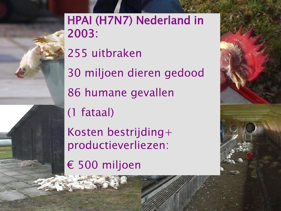 humane gevallen (1 fataal) Kosten