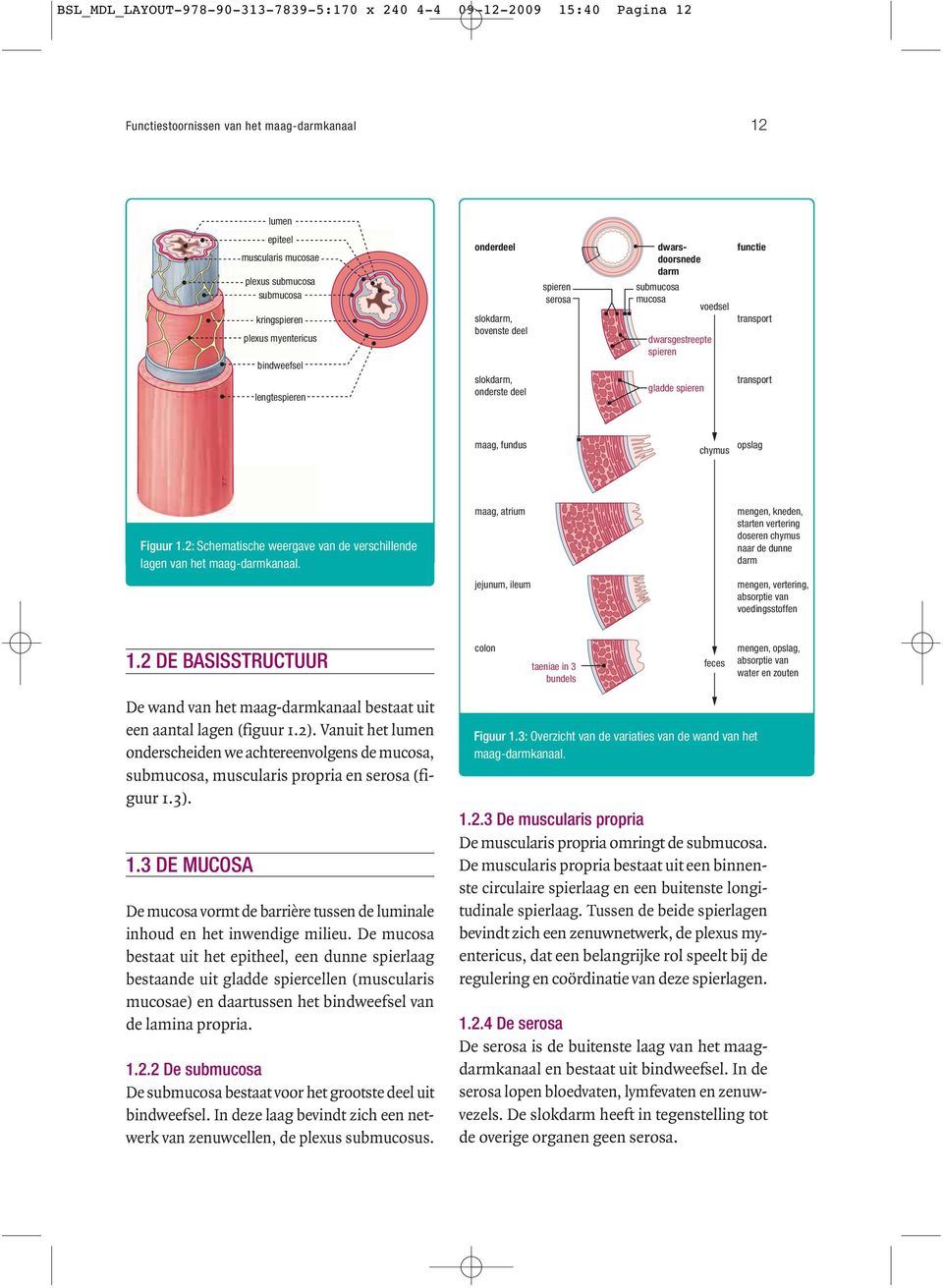 functie transport transport maag, fundus chymus opslag Figuur 1.2: Schematische weergave van de verschillende lagen van het maag-darmkanaal.