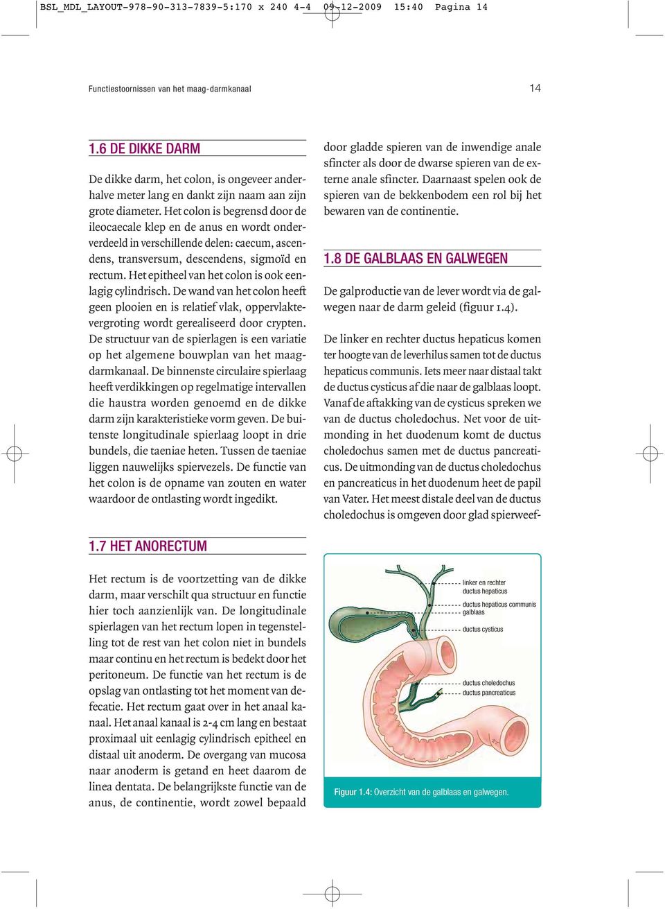 Het colon is begrensd door de ileocaecale klep en de anus en wordt onderverdeeld in verschillende delen: caecum, ascen - dens, transversum, descendens, sigmoïd en rectum.