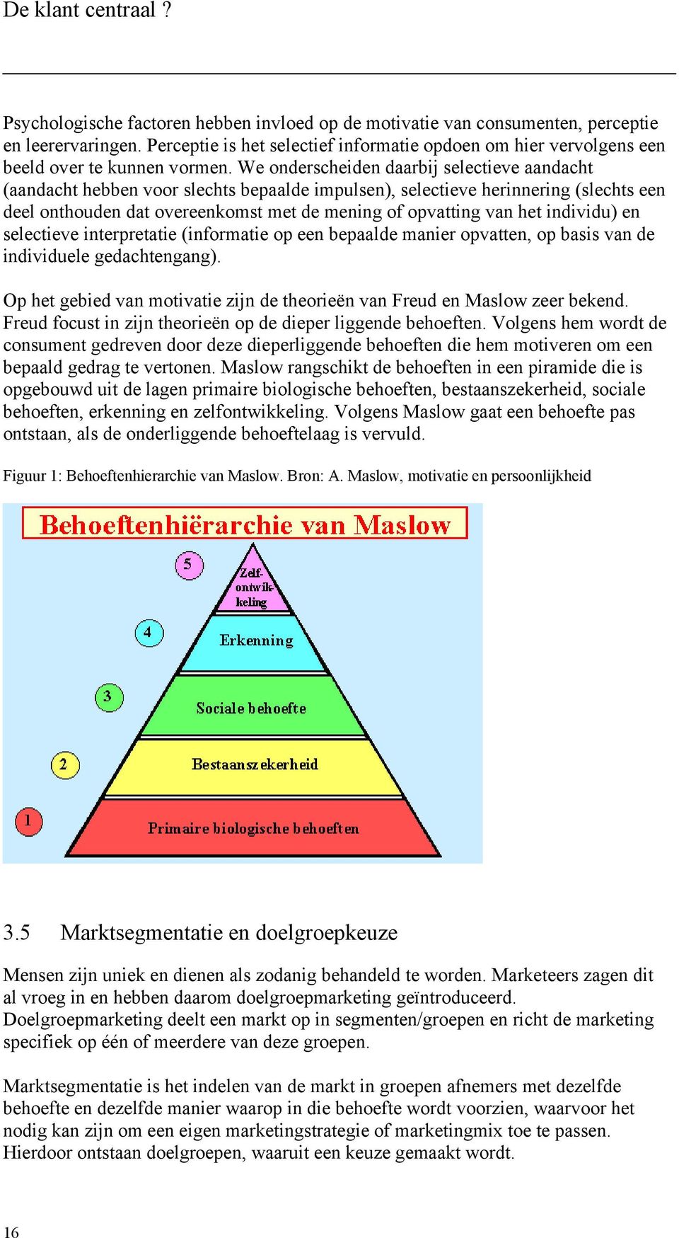 individu) en selectieve interpretatie (informatie op een bepaalde manier opvatten, op basis van de individuele gedachtengang).