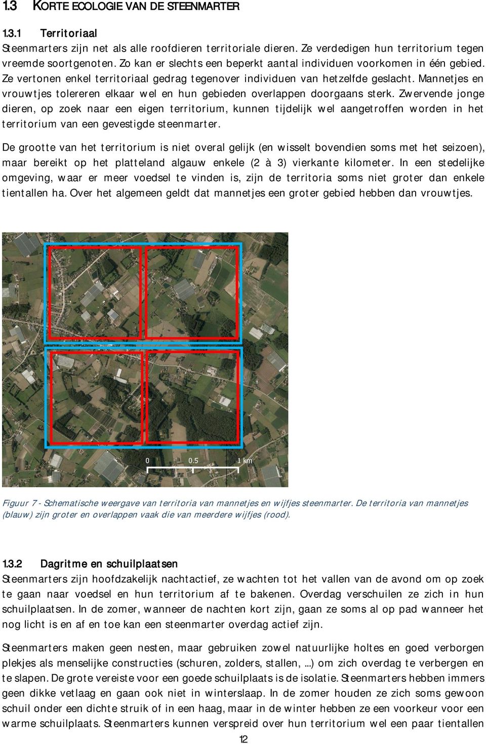 Mannetjes en vrouwtjes tolereren elkaar wel en hun gebieden overlappen doorgaans sterk.