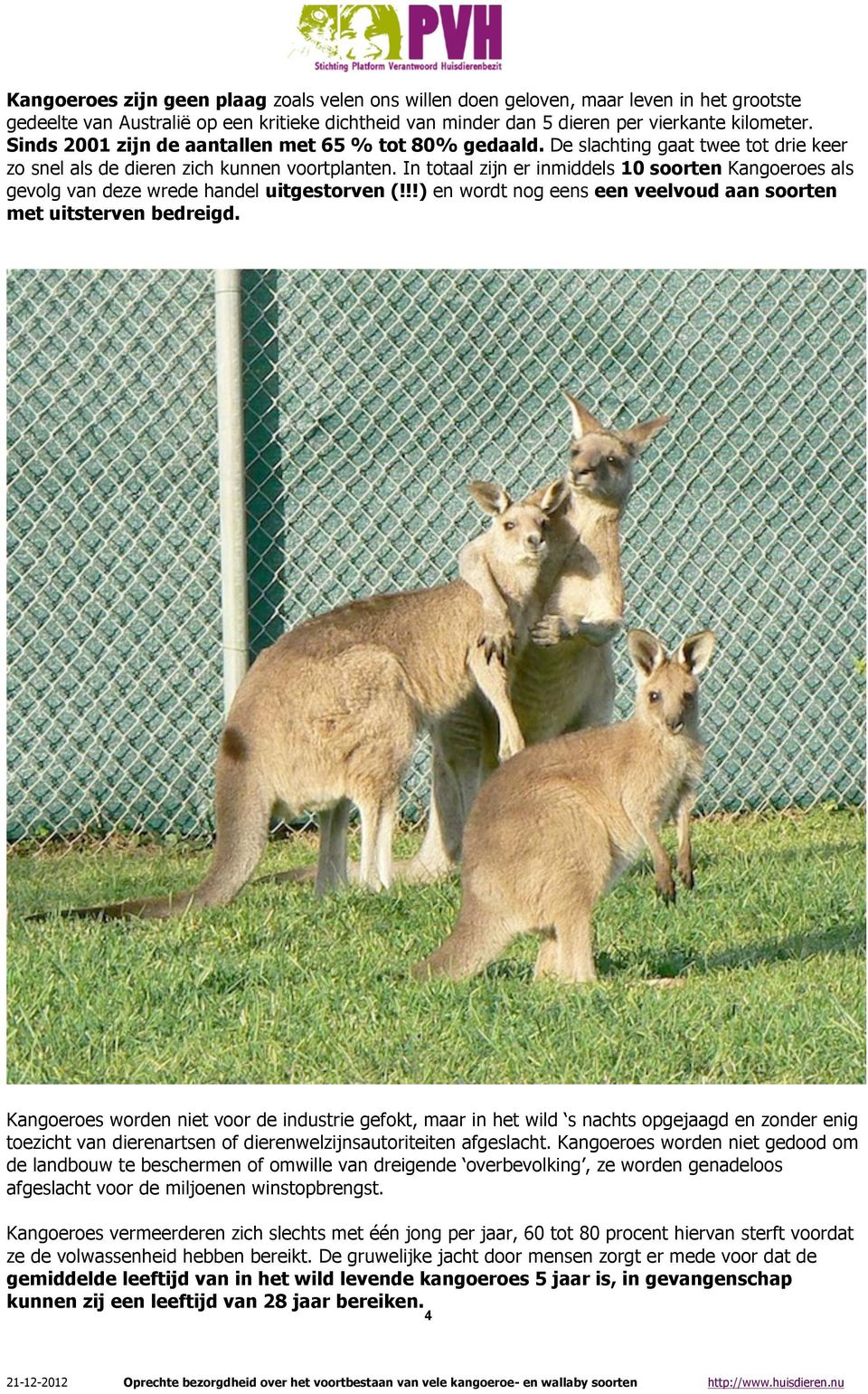 In totaal zijn er inmiddels 10 soorten Kangoeroes als gevolg van deze wrede handel uitgestorven (!!!) en wordt nog eens een veelvoud aan soorten met uitsterven bedreigd.