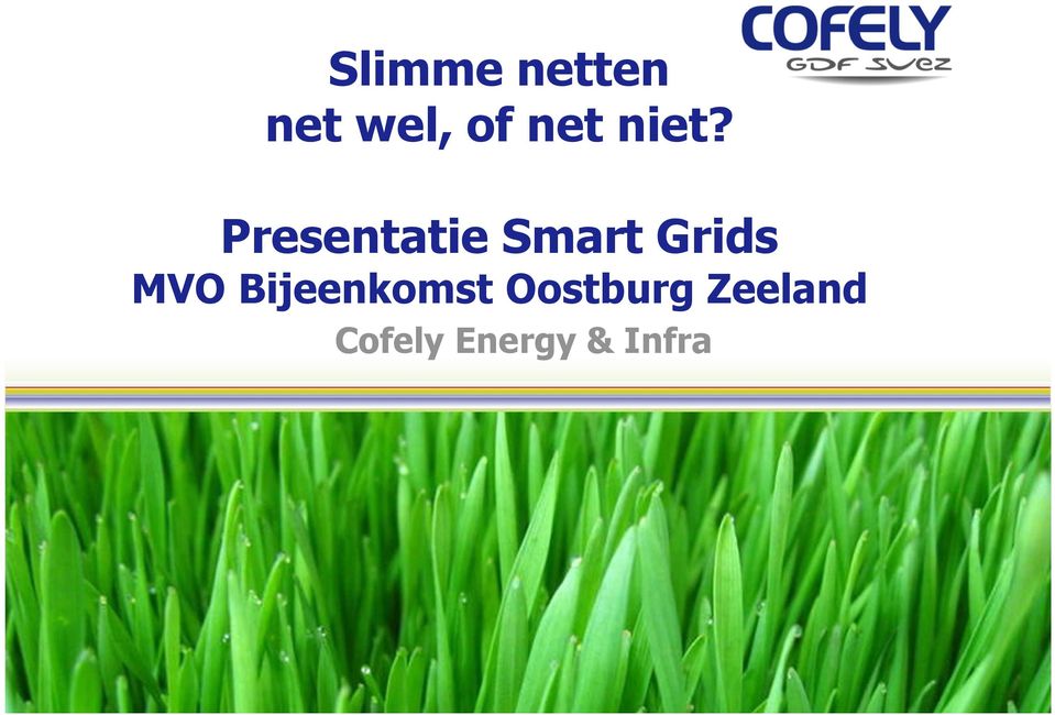 Presentatie Smart Grids MVO