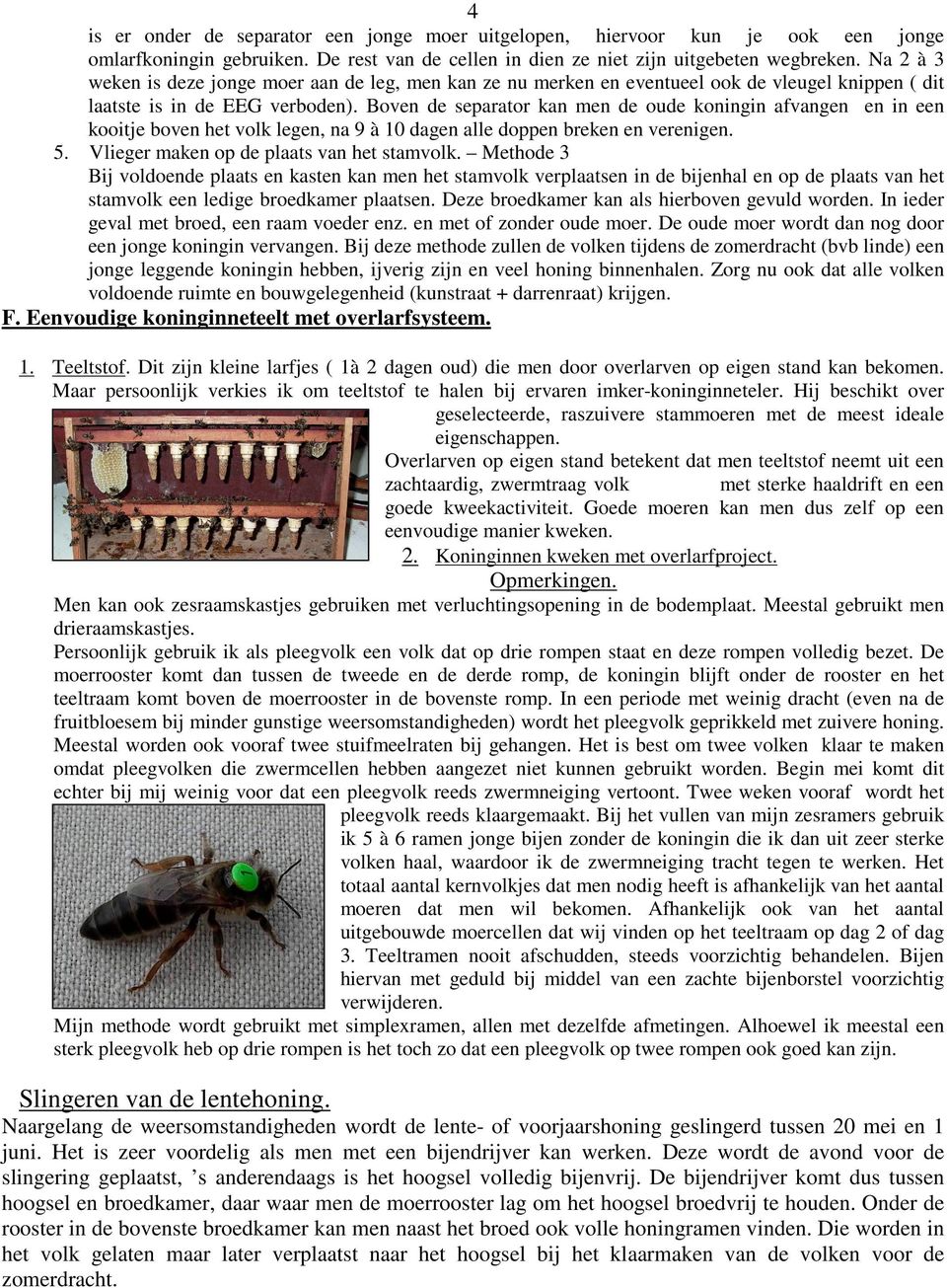 Boven de separator kan men de oude koningin afvangen en in een kooitje boven het volk legen, na 9 à 10 dagen alle doppen breken en verenigen. 5. Vlieger maken op de plaats van het stamvolk.