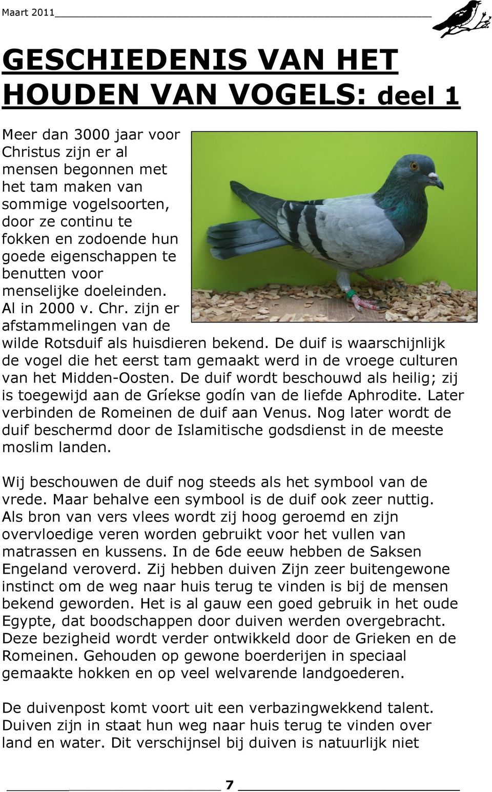 De duif is waarschijnlijk de vogel die het eerst tam gemaakt werd in de vroege culturen van het Midden-Oosten.