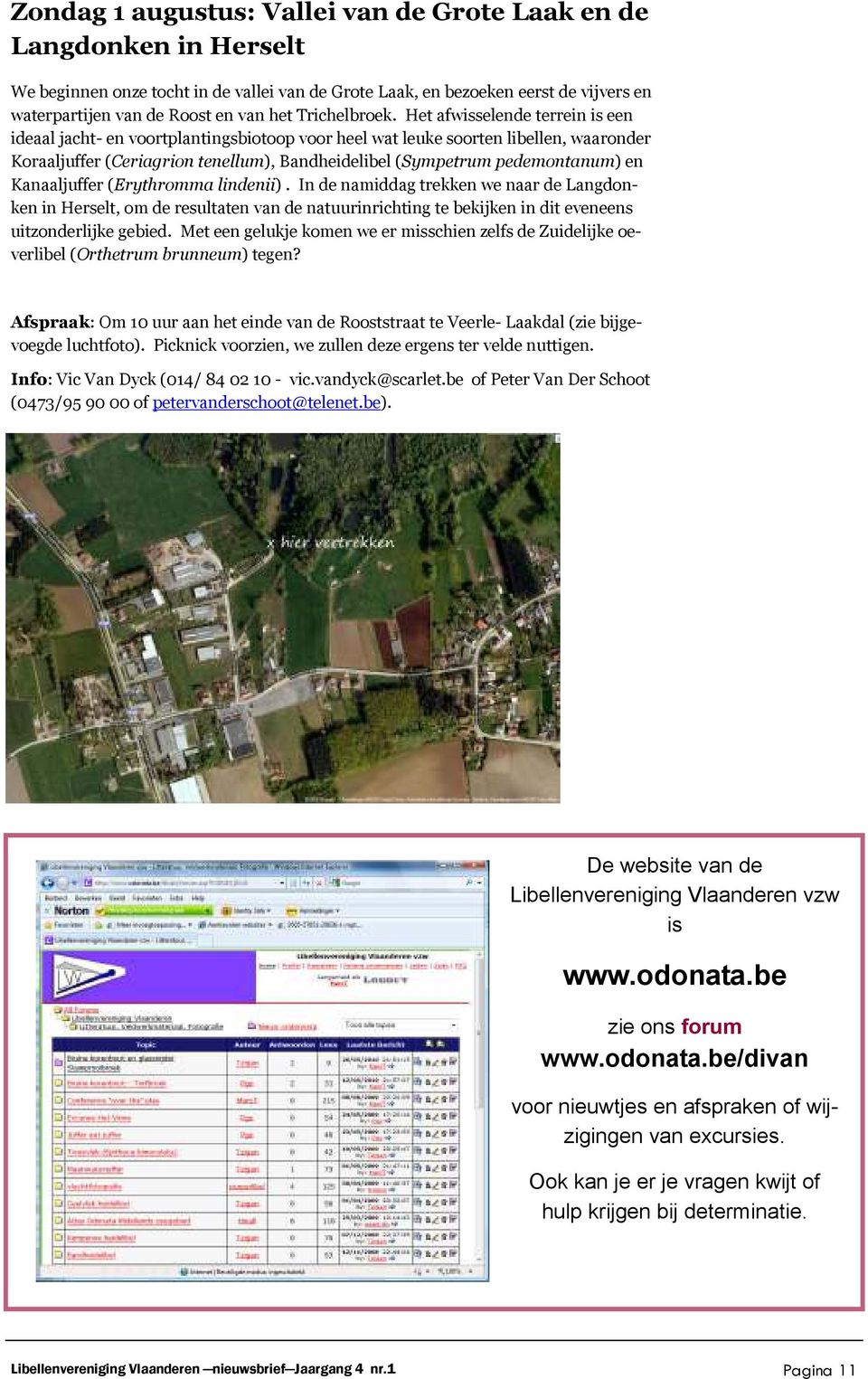 Het afwisselende terrein is een ideaal jacht- en voortplantingsbiotoop voor heel wat leuke soorten libellen, waaronder Koraaljuffer (Ceriagrion tenellum), Bandheidelibel (Sympetrum pedemontanum) en