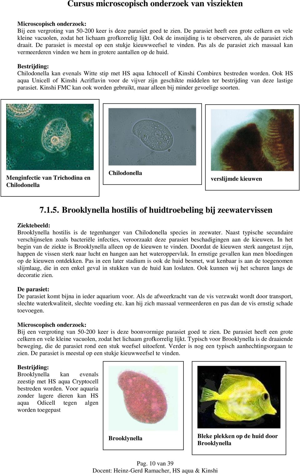 Pas als de parasiet zich massaal kan vermeerderen vinden we hem in grotere aantallen op de huid. Chilodonella kan evenals Witte stip met HS aqua Ichtocell of Kinshi Combirex bestreden worden.