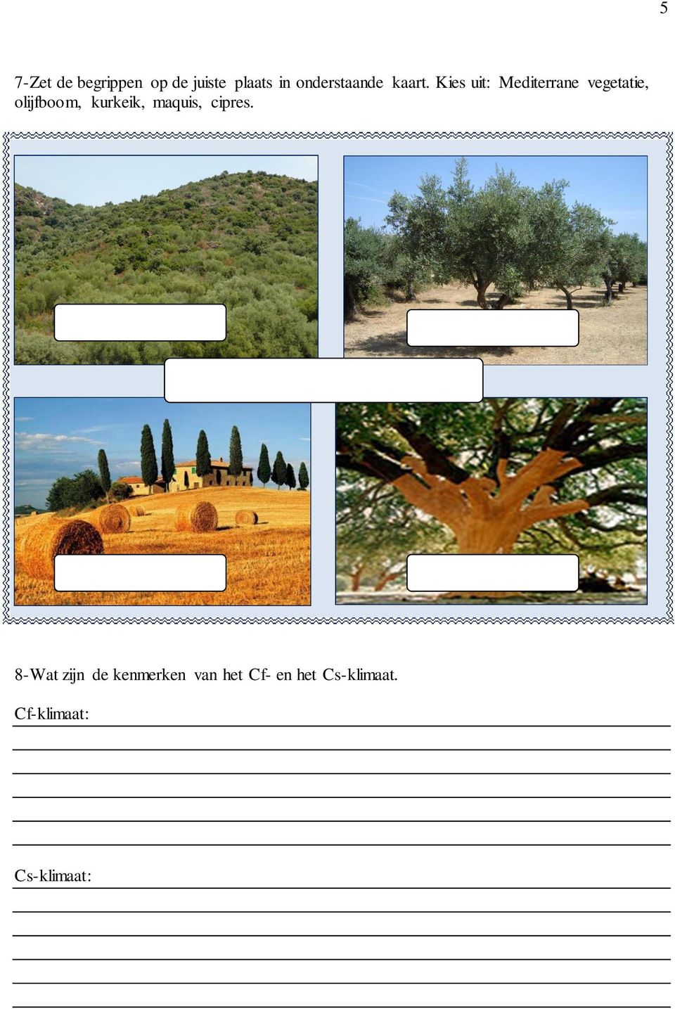 Kies uit: Mediterrane vegetatie, olijfboom, kurkeik,