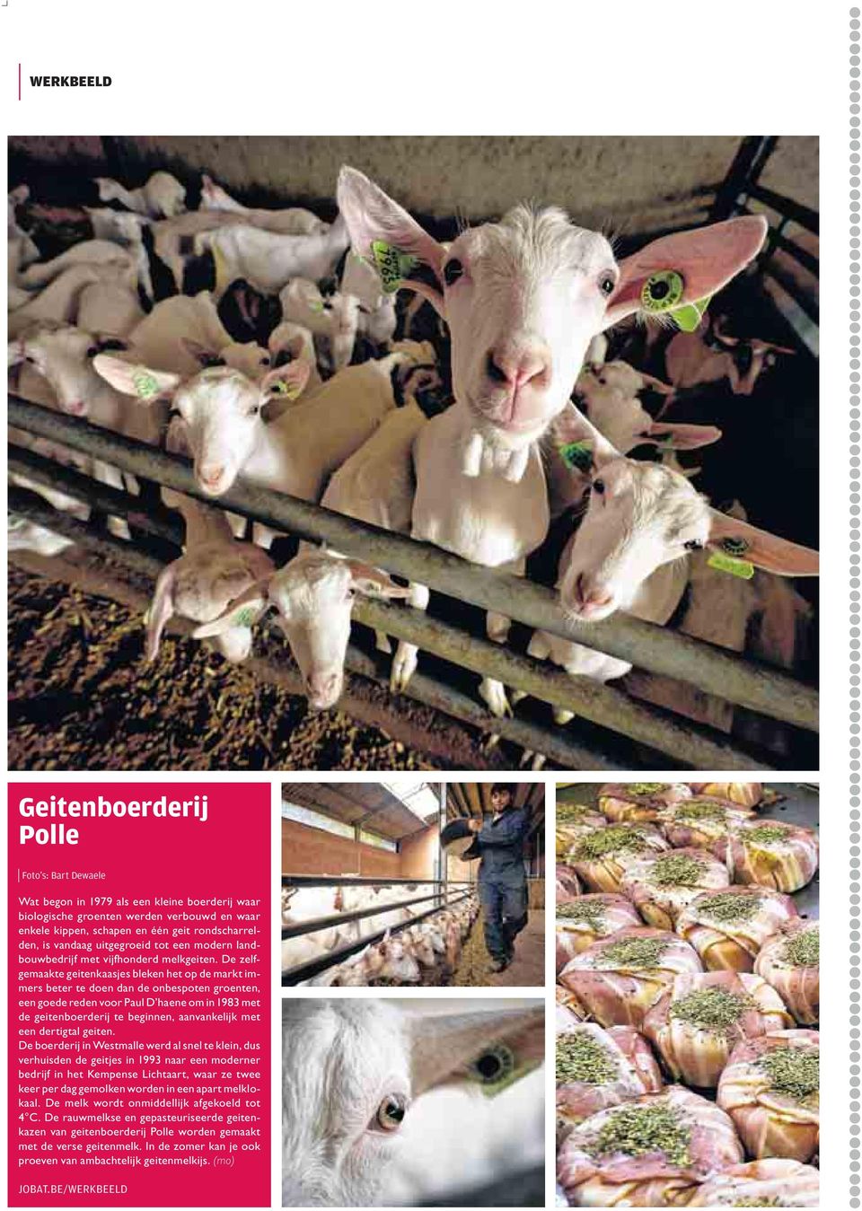 De zelfgemaakte geitenkaasjes bleken het op de markt immers beter te doen dan de onbespoten groenten, een goede reden voor Paul D haene om in 1983 met de geitenboerderij te beginnen, aanvankelijk met