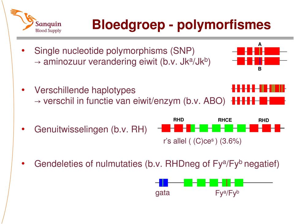 v. ABO) Genuitwisselingen (b.v. RH) RHD RHE RHD r s allel ( ()ce s ) (3.