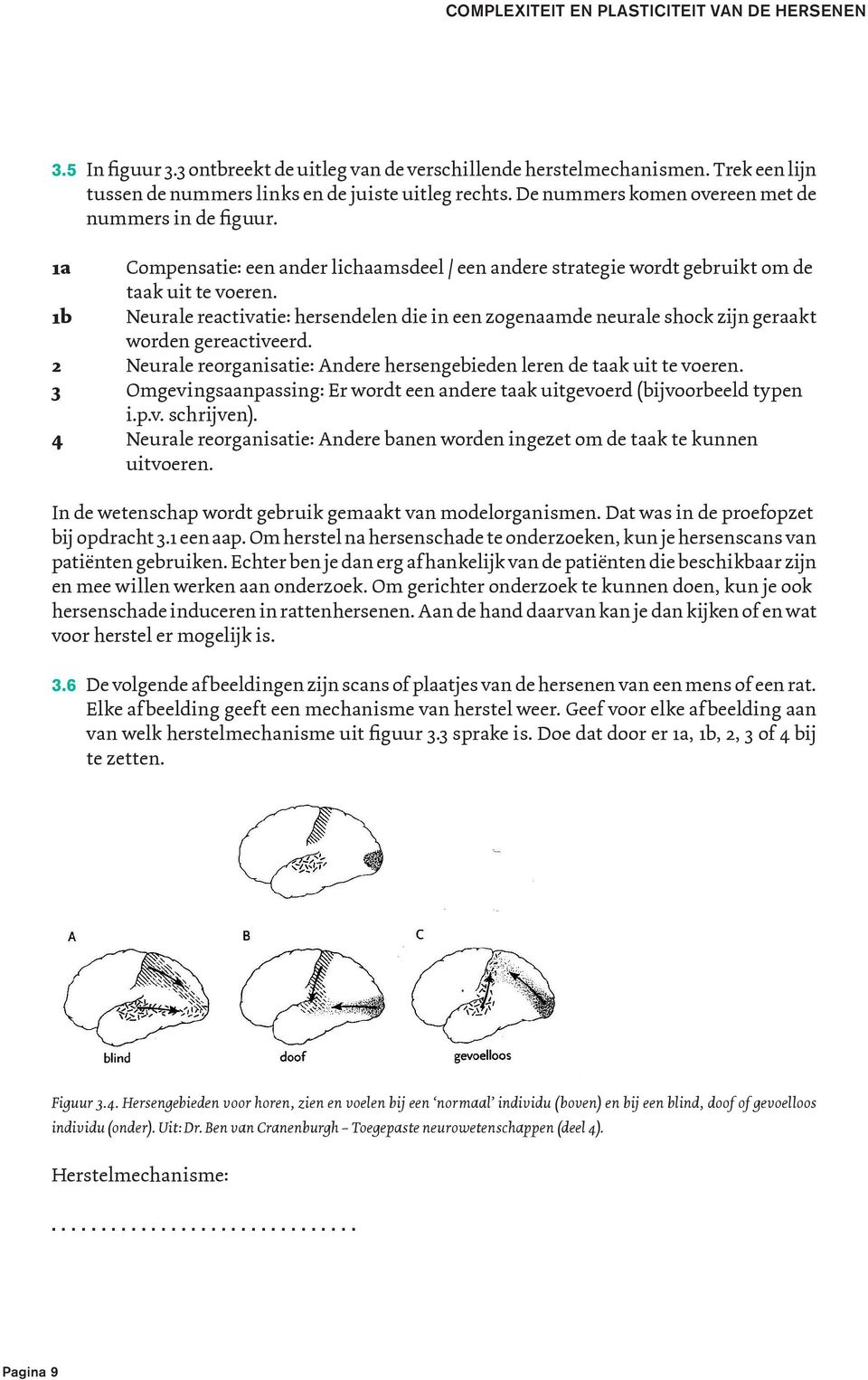 1b Neurale reactivatie: hersendelen die in een zogenaamde neurale shock zijn geraakt worden gereactiveerd. 2 Neurale reorganisatie: Andere hersengebieden leren de taak uit te voeren.