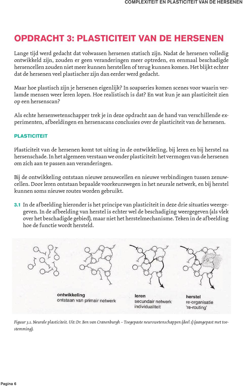 Het blijkt echter dat de hersenen veel plastischer zijn dan eerder werd gedacht. Maar hoe plastisch zijn je hersenen eigenlijk? In soapseries komen scenes voor waarin verlamde mensen weer leren lopen.