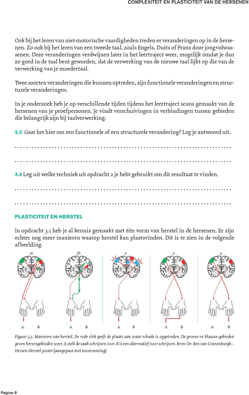 moedertaal. Twee soorten veranderingen die kunnen optreden, zijn functionele veranderingen en structurele veranderingen.