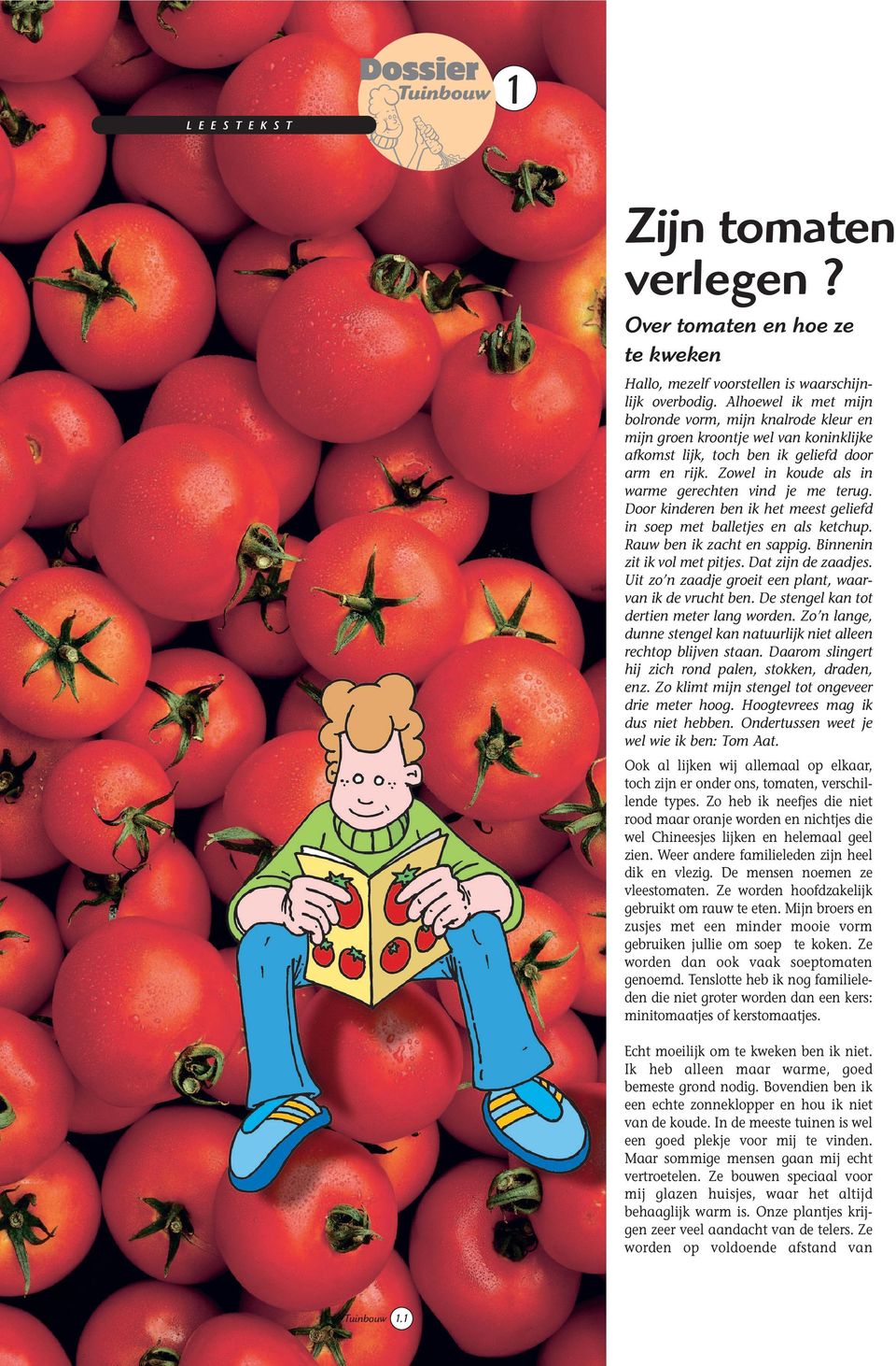 Zowel in koude als in warme gerechten vind je me terug. Door kinderen ben ik het meest geliefd in soep met balletjes en als ketchup. Rauw ben ik zacht en sappig. Binnenin zit ik vol met pitjes.