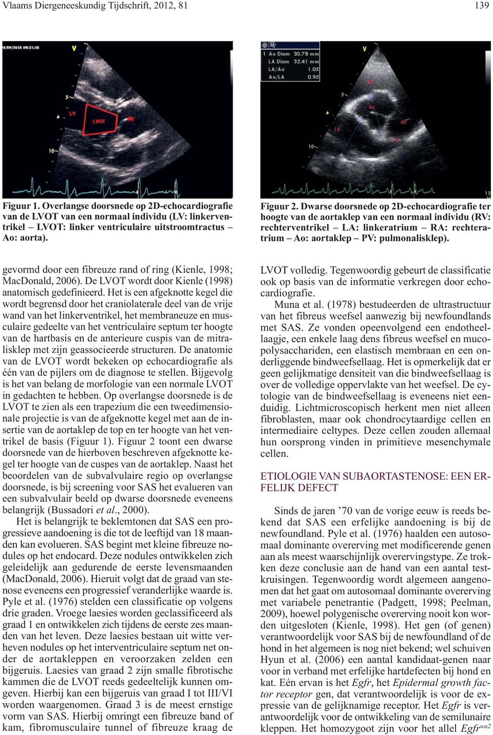 Dwarse doorsnede op 2D-echocardiografie ter hoogte van de aortaklep van een normaal individu (RV: rechterventrikel LA: linkeratrium RA: rechteratrium Ao: aortaklep PV: pulmonalisklep).