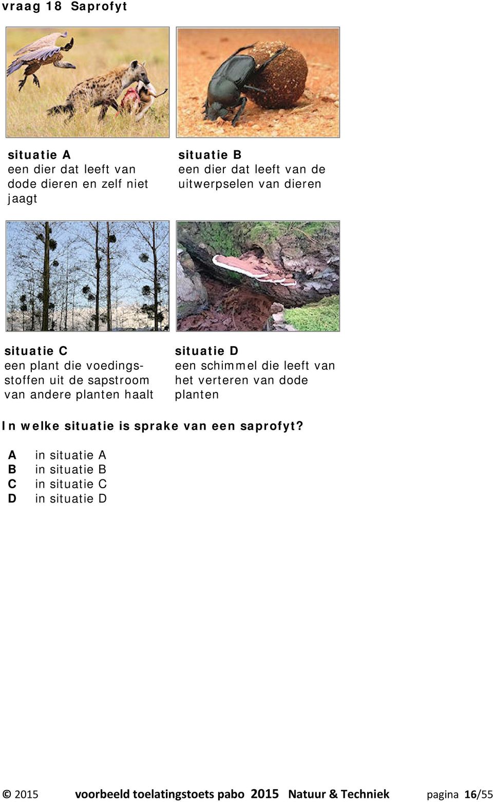 situatie een schimmel die leeft van het verteren van dode planten In welke situatie is sprake van een saprofyt?