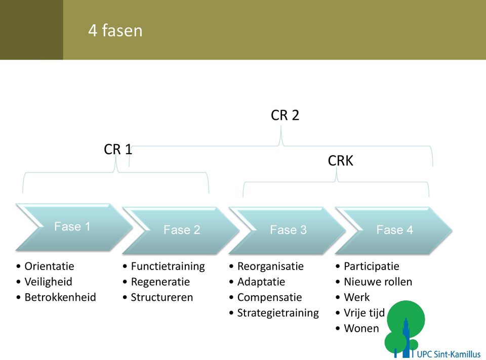 Regeneratie Structureren Reorganisatie Adaptatie