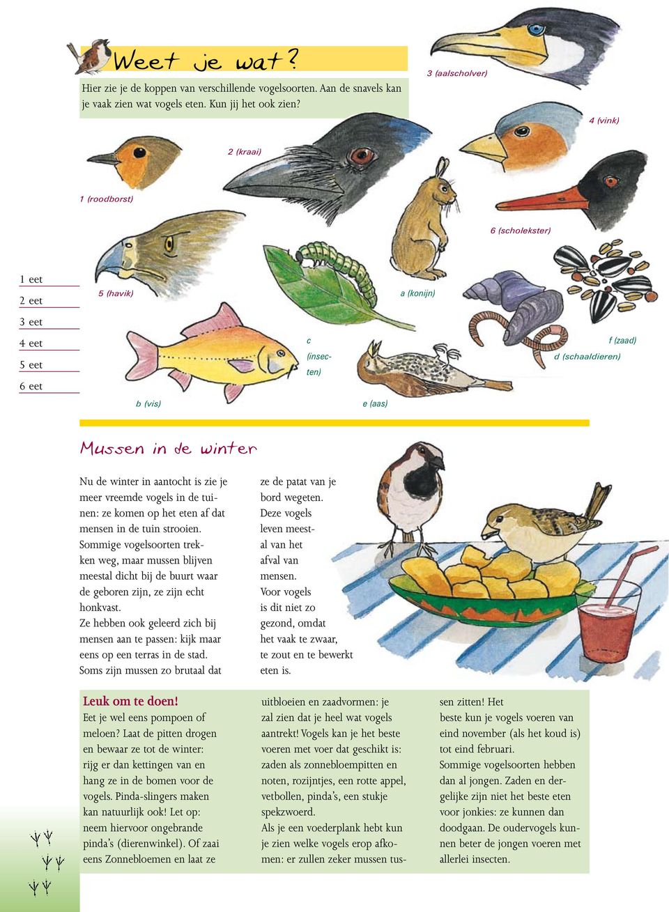 de winter in aantocht is zie je meer vreemde vogels in de tuinen: ze komen op het eten af dat mensen in de tuin strooien.