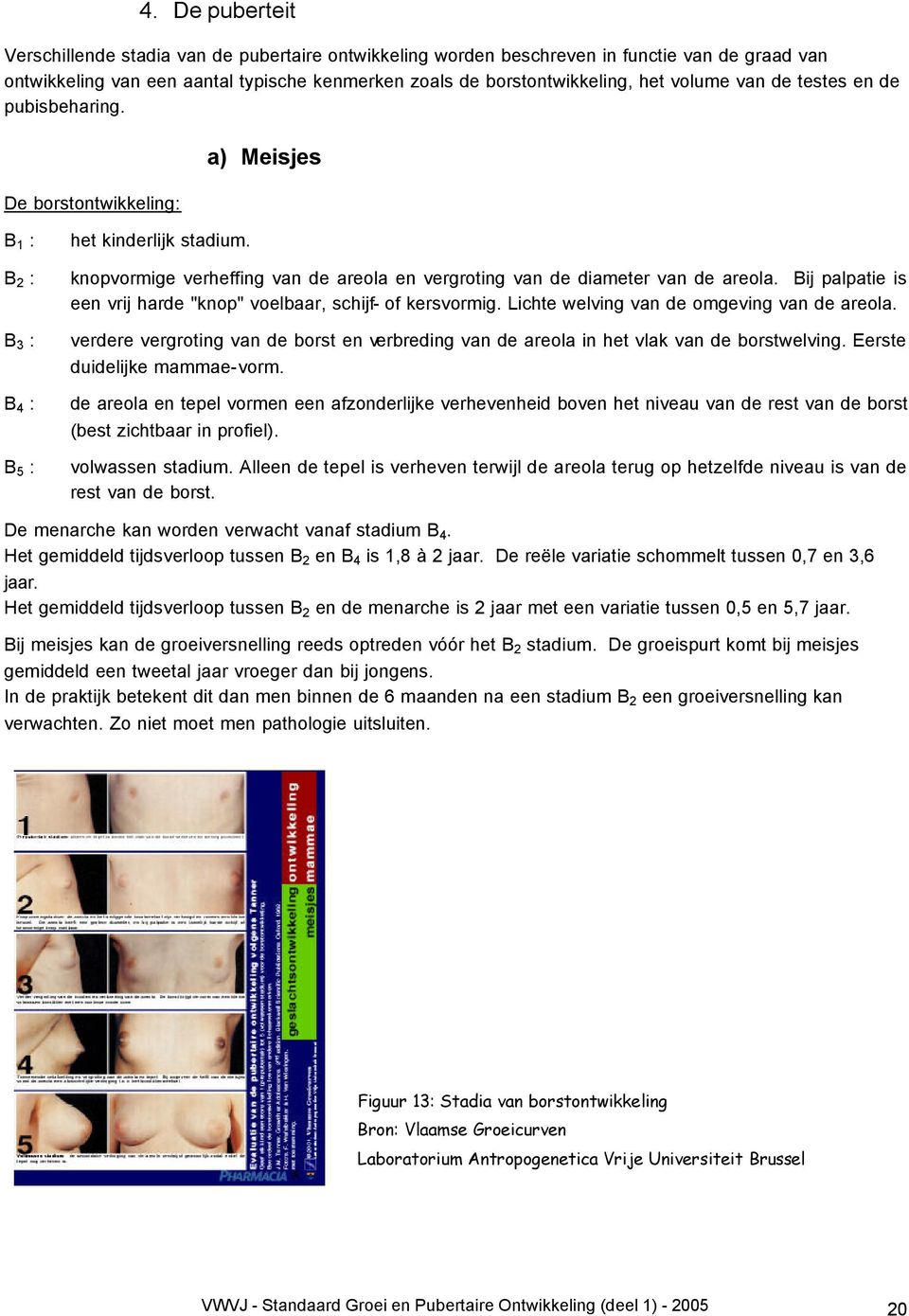 knopvormige verheffing van de areola en vergroting van de diameter van de areola. Bij palpatie is een vrij harde "knop" voelbaar, schijf- of kersvormig. Lichte welving van de omgeving van de areola.