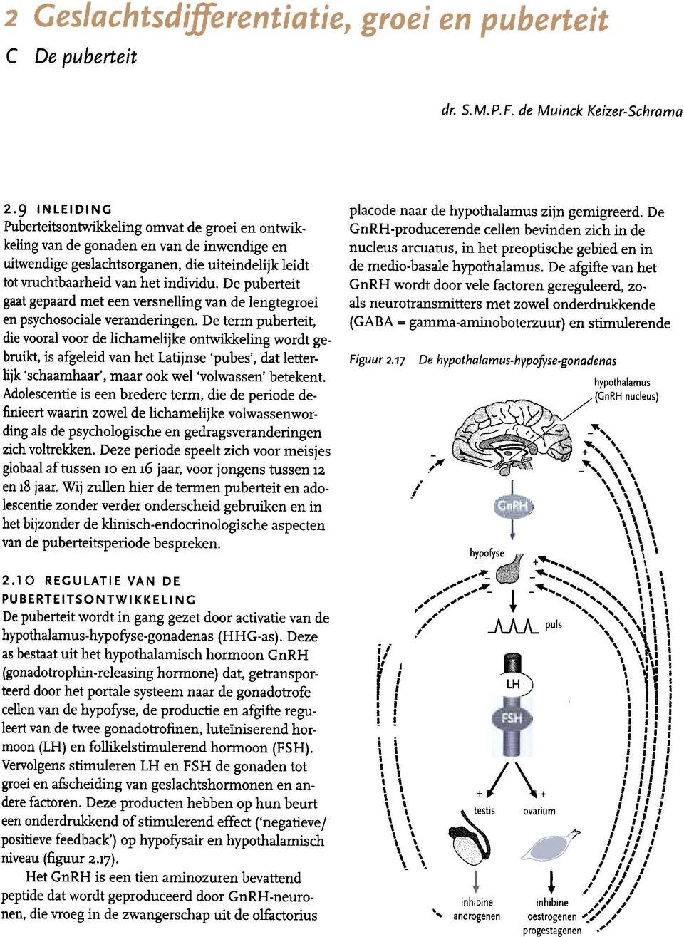 De puberteit gaat gepaard met een versnelling van de lengtegroei en psychosociale veranderingen.