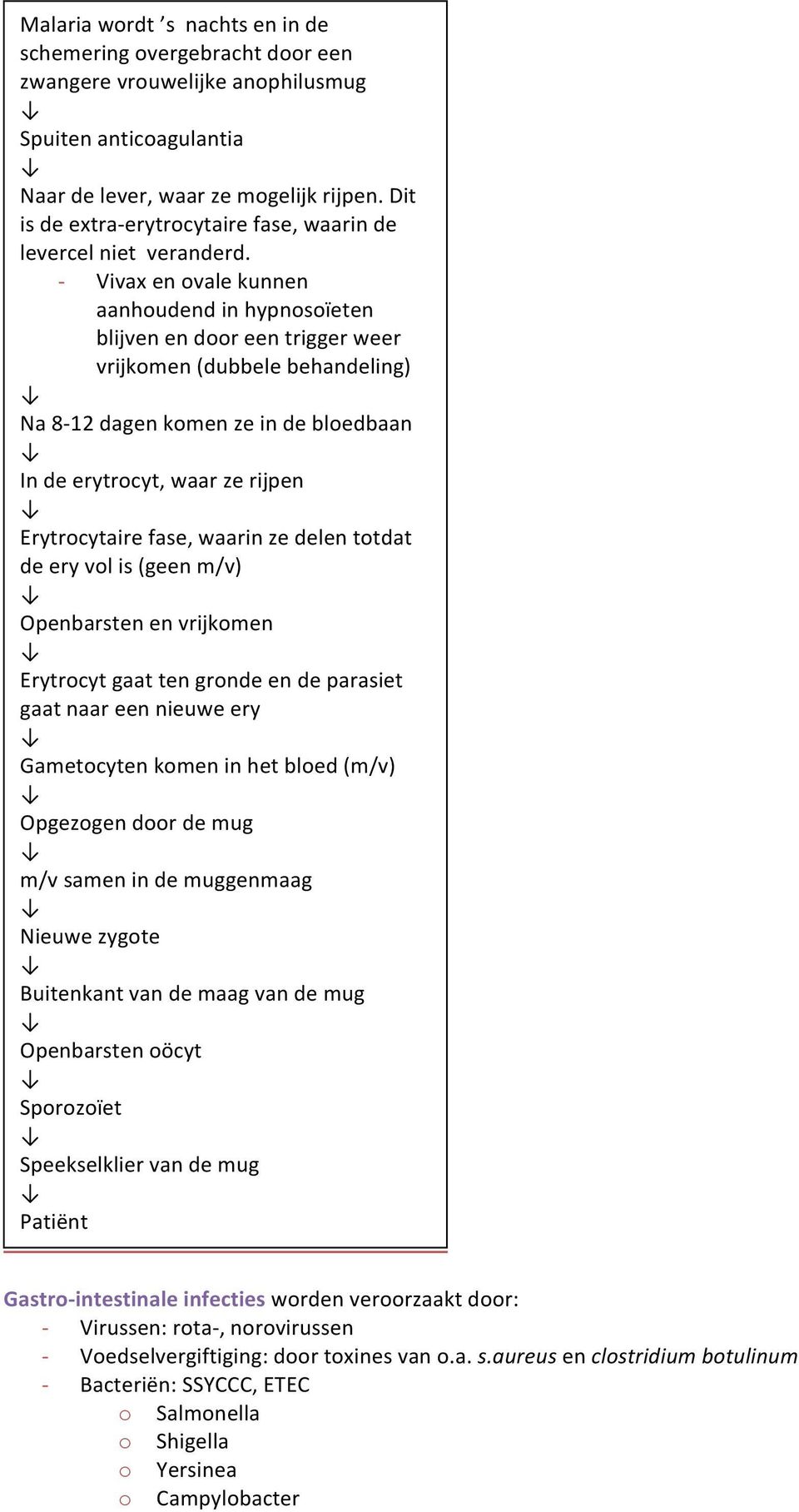 - Vivax en ovale kunnen aanhoudend in hypnosoïeten blijven en door een trigger weer vrijkomen (dubbele behandeling) Na 8-12 dagen komen ze in de bloedbaan In de erytrocyt, waar ze rijpen