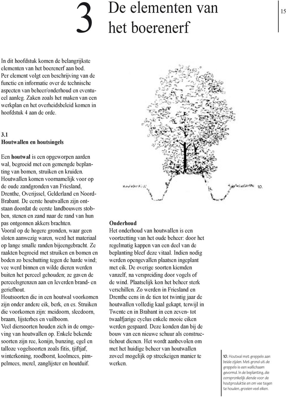 Zaken zoals het maken van een werkplan en het overheidsbeleid komen in hoofdstuk 4 aan de orde. 3.